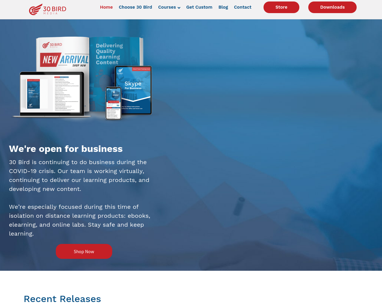 30-bird-media-homepage-screenshot